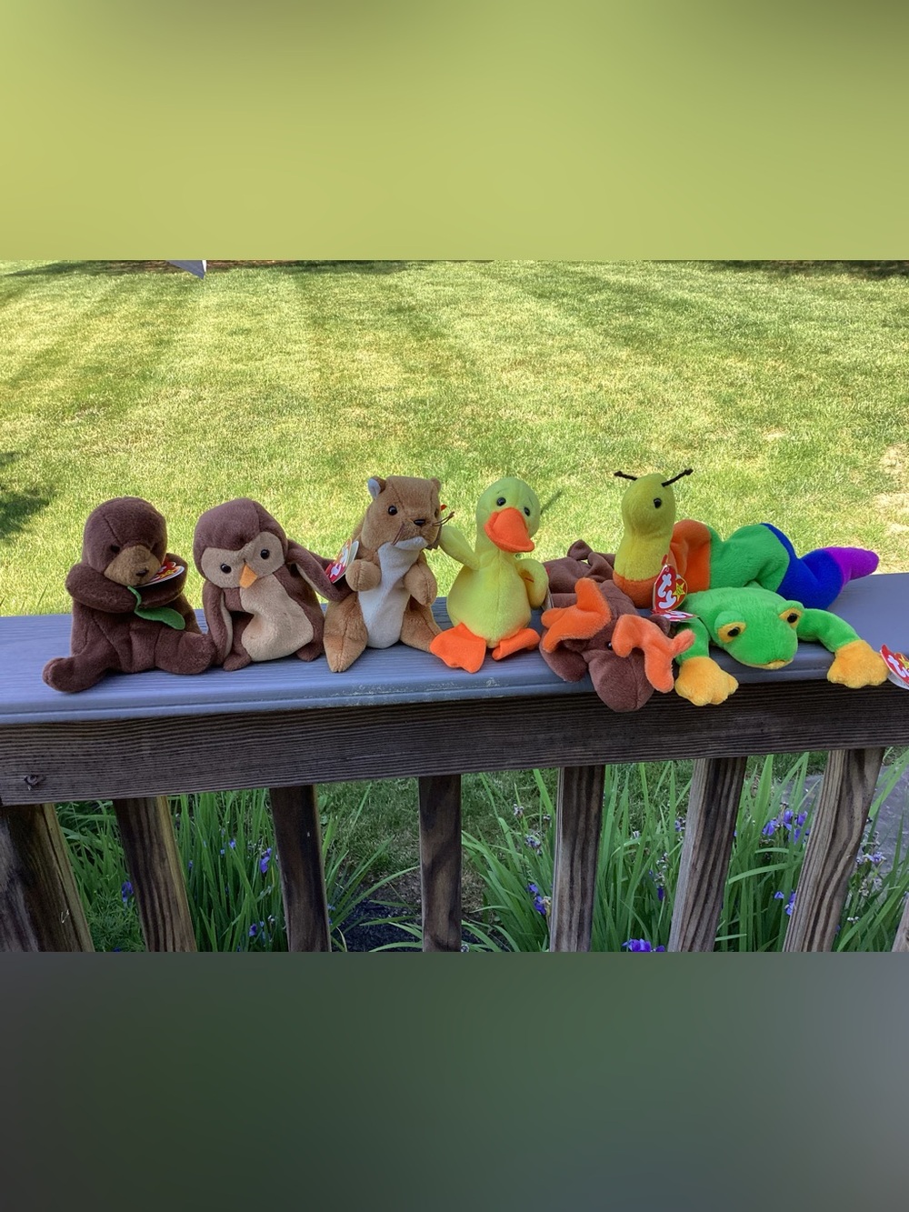 7 outdoor themed Ty Beanie Babies